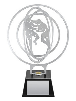 Приз тематический «Самбо» - PS1880-M