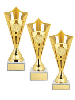 Приз наградной «Звезда» - PS1985